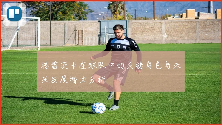 格雷茨卡在球队中的关键角色与未来发展潜力分析