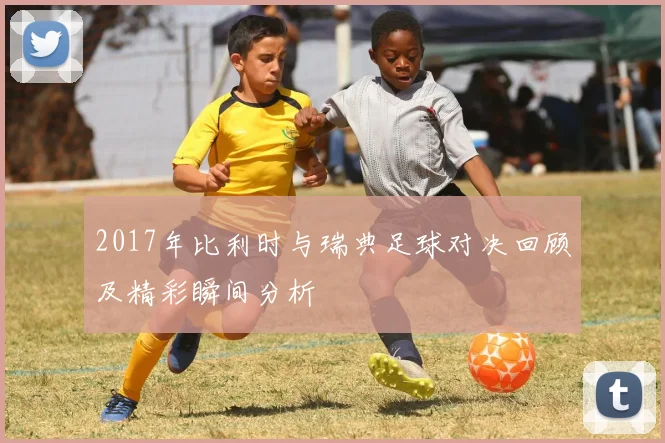 2017年比利时与瑞典足球对决回顾及精彩瞬间分析