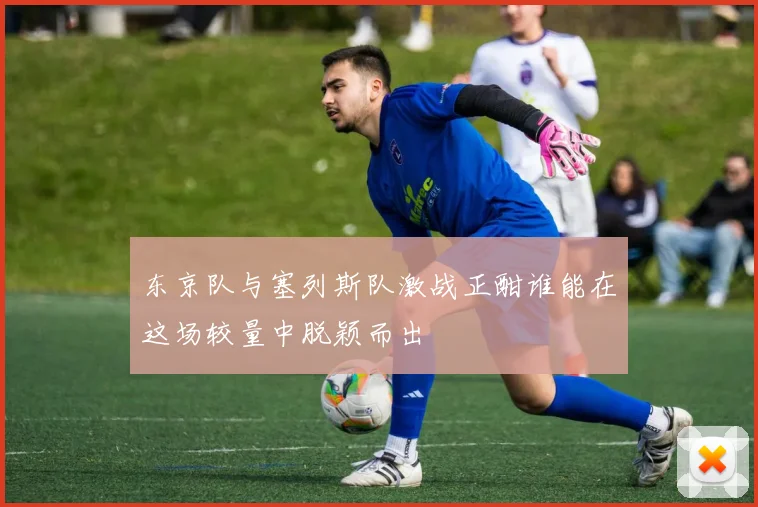 东京队与塞列斯队激战正酣谁能在这场较量中脱颖而出