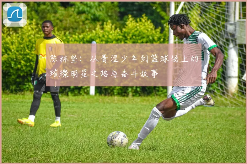 陈林坚：从青涩少年到篮球场上的璀璨明星之路与奋斗故事